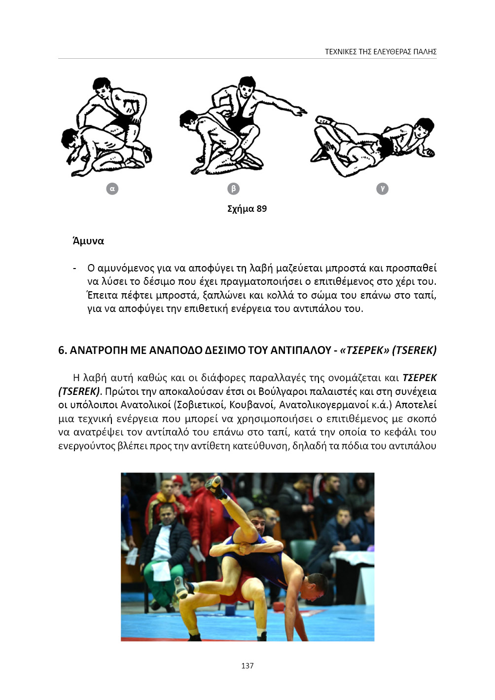 Ελευθέρα πάλη Wrestling - Image 4